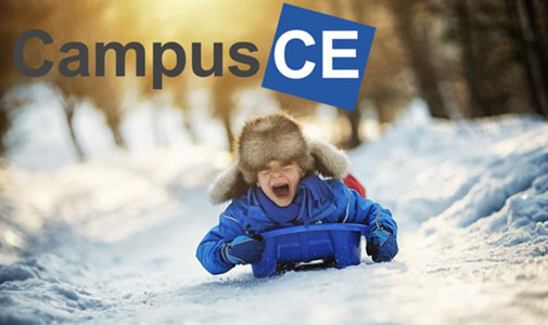 Joyful child sledding