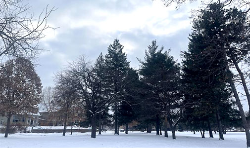 Photo of Minnesota in winter by Ginette Payoute Friesen